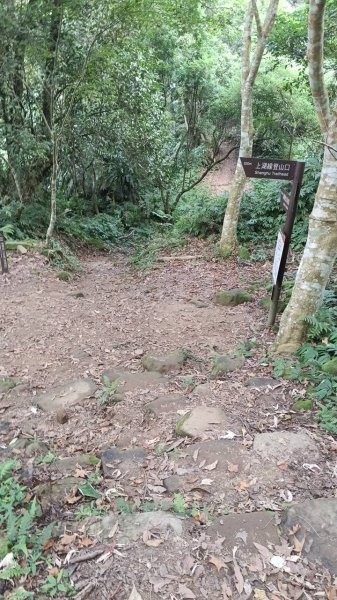 20251004 馬那邦山 - 珠湖 登山口2904770