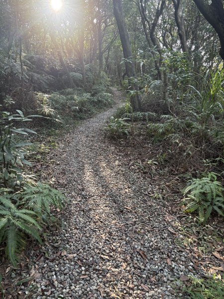 20251004_碧山露營場＿長壽坡＿大崙尾山步道2904726