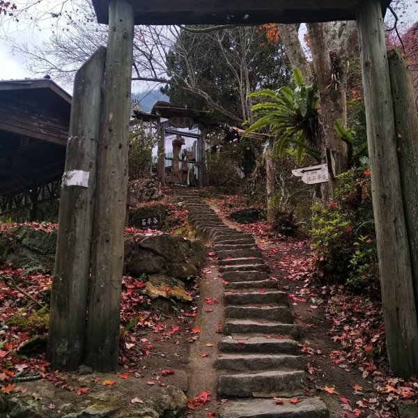 步道巡訪員│石夢谷步道1月巡訪日誌 812156