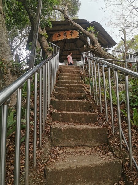田中森林登山步道-依山稜線而建且景觀良好1048136