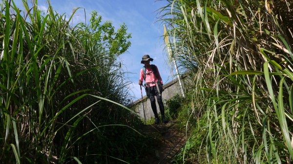 小觀音山登山健行趣(郊山)1680135