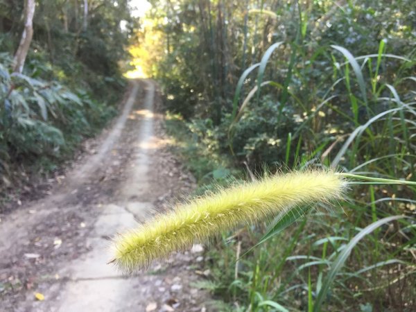 20200112高雄甲仙白雲山812410