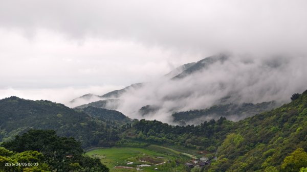 陽明山追雲趣 #天空之城 #石門嵩山梯田 #鳶尾花 #老梅綠石槽 4/5-63030182