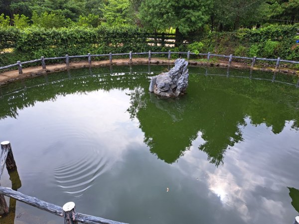 2026森遊竹縣：寶山迴龍步道，環湖步道3107262