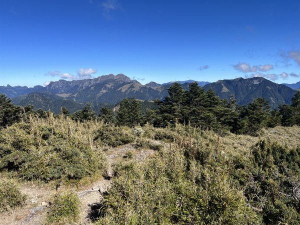 雪山西稜 2023_1105(D4B) 奇峻山2341906