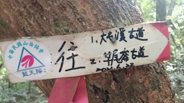 三芝區竿尾崙古道-竿尾崙-清涼崙-大屯溪古道O型3095656