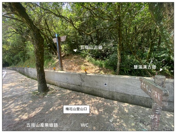 臺北大縱走第四段 風櫃嘴至捷運大湖公園站3079945