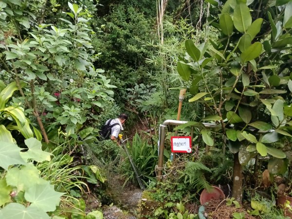 平溪區過火坪古道+枋山坑山+中坑頭鞍部+枋山坑古道+火燒寮古道O型2878600