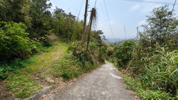 新北深坑，新翠谷登山步道3029715