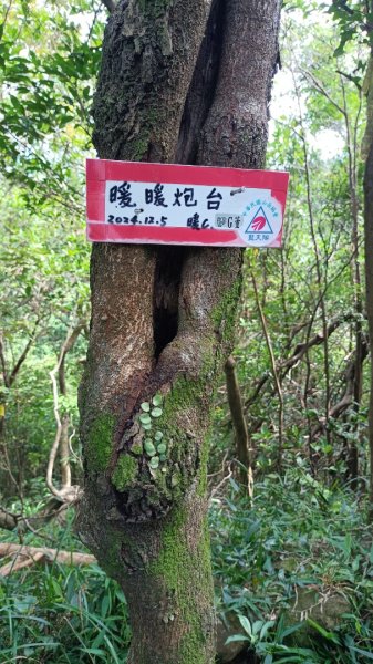 失敗的七百縱走2891137