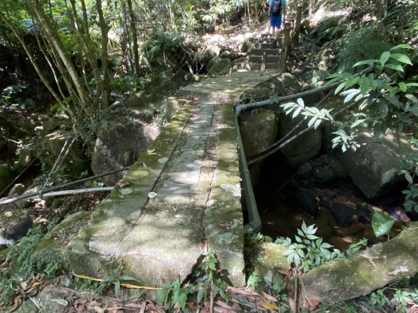 《五指山古道 × 石盤瀑布 × 友蚋山南峰 × 柯子林天然泳池｜尋訪山林古道與靜謐日式庭園》2923011