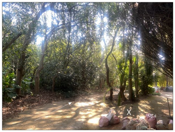 乞食崙 ( 台中/大肚山 )2937400