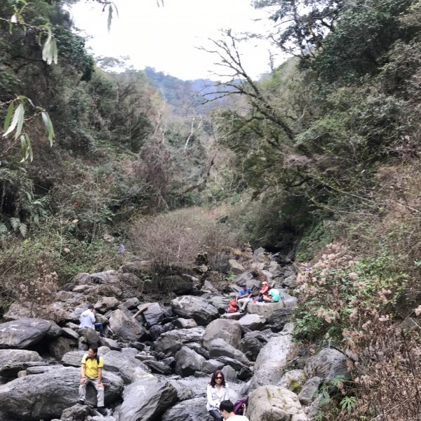 步道巡訪員│鎮西堡A區步道2月巡訪日誌857881