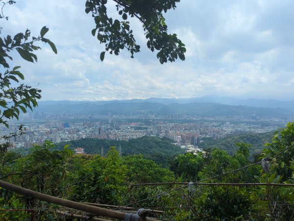 2025.08.30－微笑山線：【大棟山系】2874475