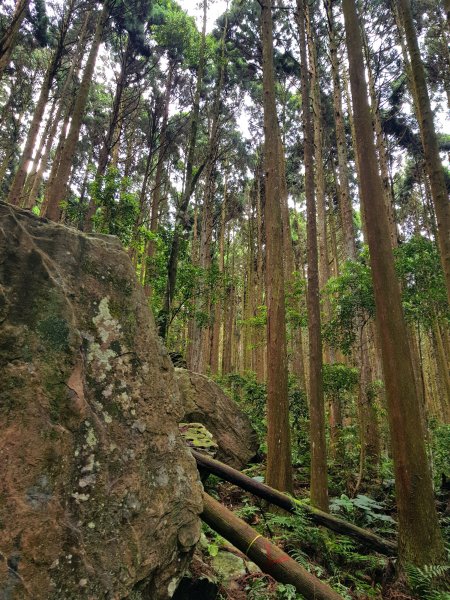 小百岳集起來-加里山2185855