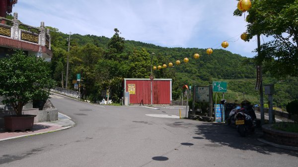 獅公髻尾山登山健行趣（郊山）1577782