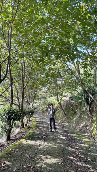 「鵝公髻山x山上人家」柳杉林中森呼吸~2264670