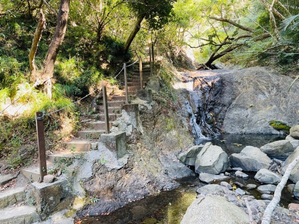 1150123里龍山2986674