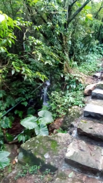 陽明山東西大縱走，下次再把西段走完1963570