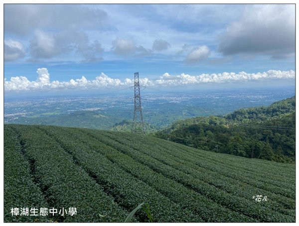 後棟仔山 O型路線2833442