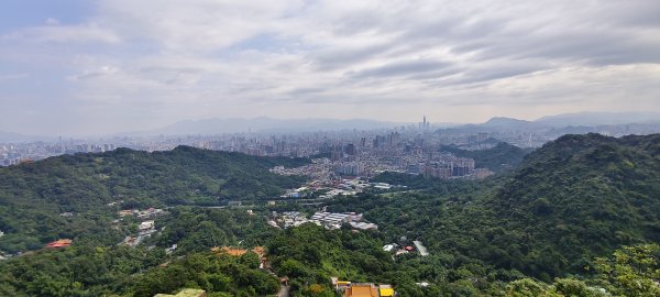 2025/05/31_烘爐地登山步道(南勢角山)2801433