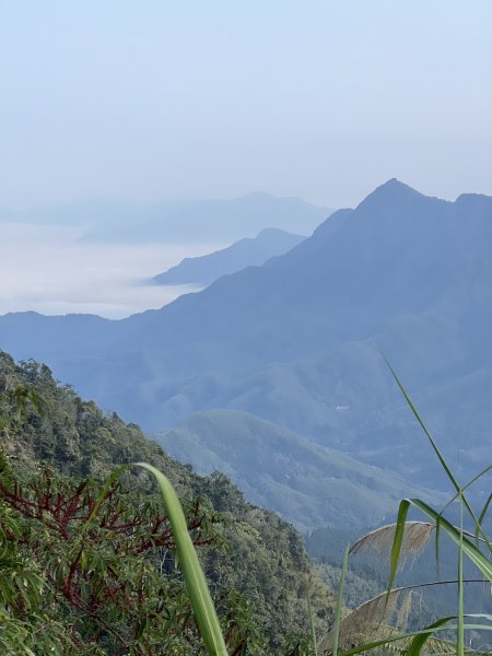 小百岳-金柑樹山2717268