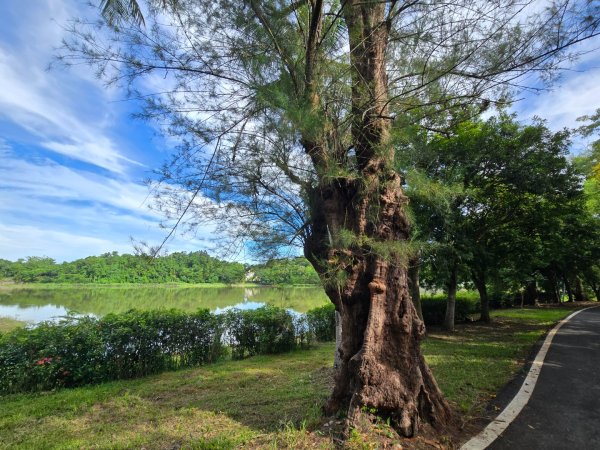 虎頭埤環湖步道（新化虎頭山）2890932