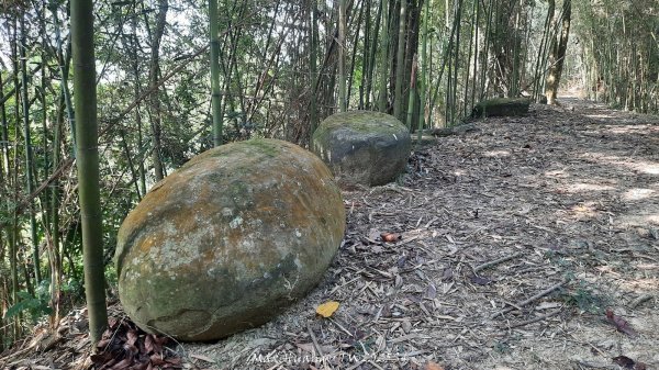 《南投》古道巡禮｜八通關古道社寮線蜈蚣崙段202511152937042