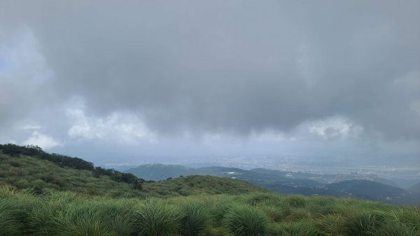 2023-0930冷水坑_絹絲瀑布步道_上切竹篙山_內寮古道2299413