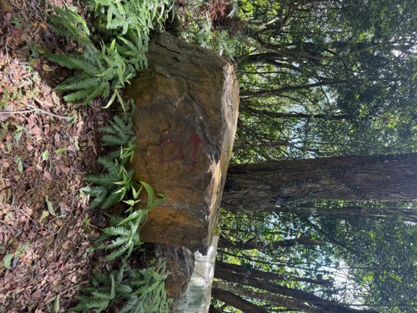 頭城火車站-頭圍山-礁水坑山南峰-礁水坑山-鶯子嶺2867045