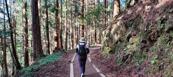 20241127特富野古道+梯子板山2659354
