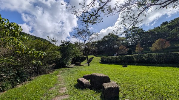 114.11.09草嶺古道芒花季之旅2932941