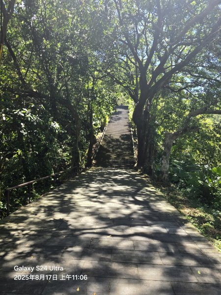 2025-08-17臺北大縱走第七段：世界山莊至飛龍步道政大後山2862367