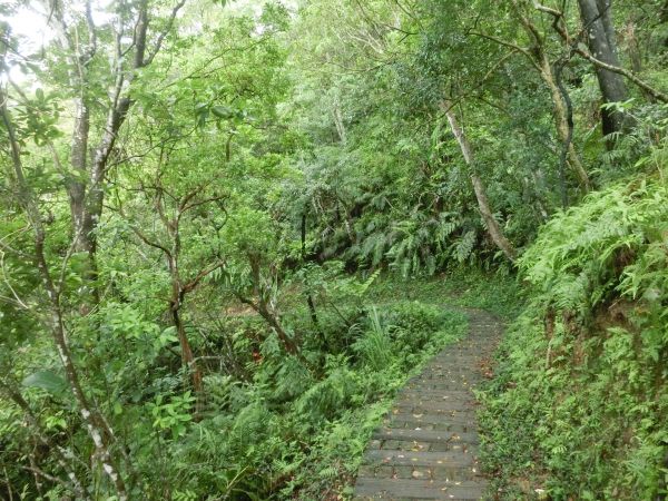 千島湖．八卦茶園．永安景觀步道162654