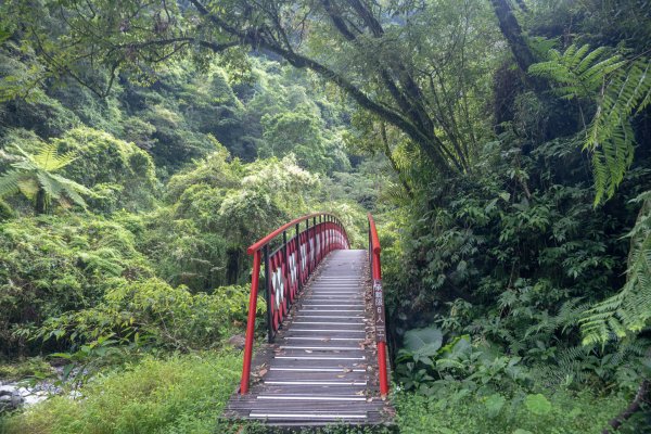 九寮溪步道與梅花湖2927075