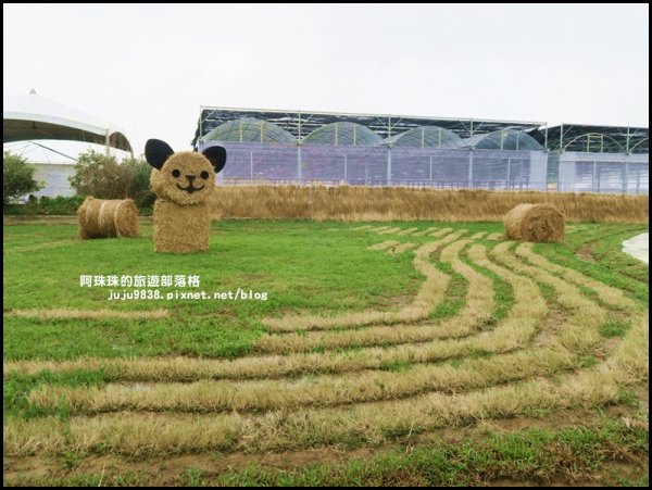 2019桃園農業博覽會693350