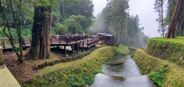 2022-09-10 塔山步道、姊妹潭、巨木群步道、小笠原山觀景台1841016