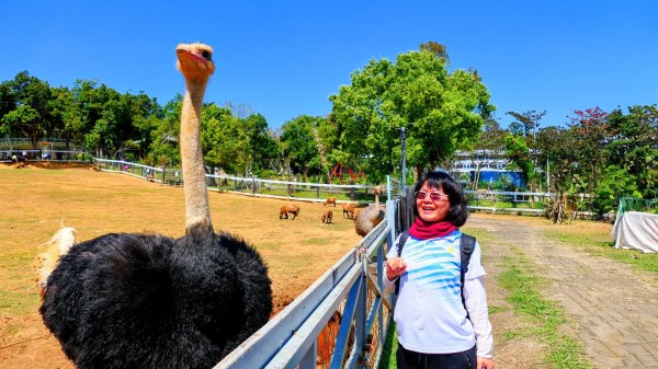 台東原生應用植物園3015262