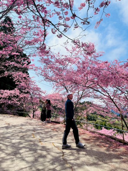 桃園 復興 巴陵 恩愛農場3011872