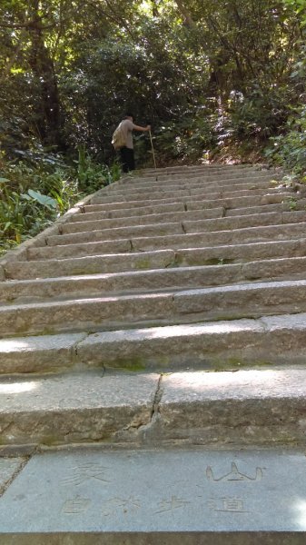 【臺北大縱走6】象山南港山縱走九五峰虎山942807