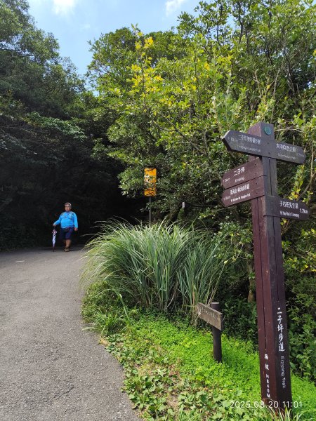 【臺北大縱走1+2】2-1 二子坪步道→面天山向天山步道→梓園(五感體驗場)→面天坪涼亭→大屯山西峰2866829