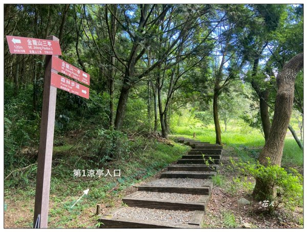 槌仔寮山、槌仔寮山西南峰、金龍山步道 連走2846697