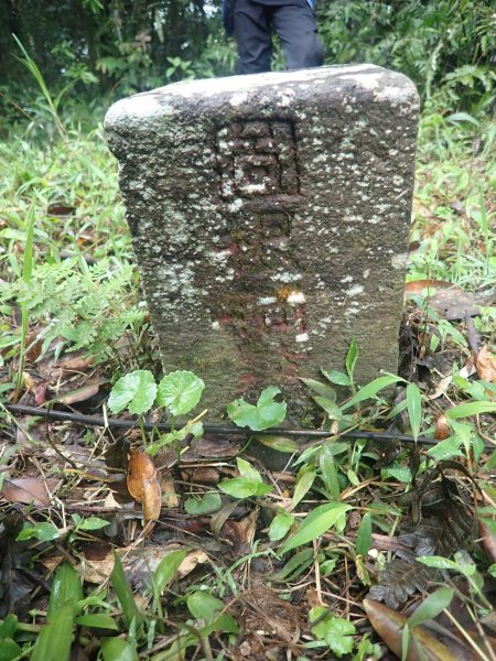 2022-04-01　天氣陣雨，翡翠坑山探索1660646