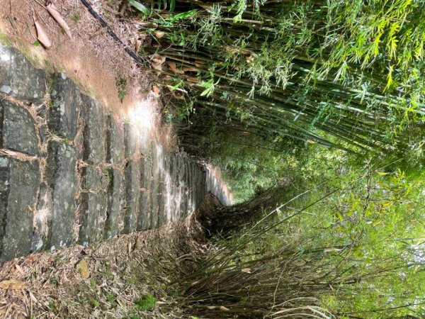 2021/10/10 坪頂古道環形步道、聖人瀑布1518268