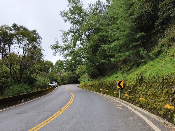 [玉山尋寶任務-08/12] 2025_0824 鹿林山步道_鹿林山2870790