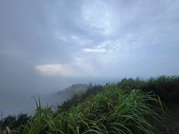 雨後，五分之美，十分愜意2755773