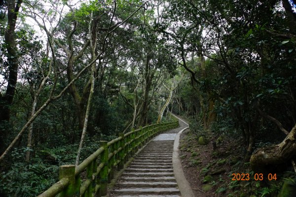 新竹 芎林 飛鳳山、中坑山、大板根、石壁潭山2052614