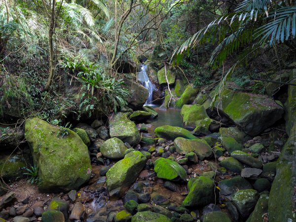 2026-02-22 內湖雙心縱走3006788