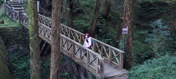 阿里山眠月線2972771