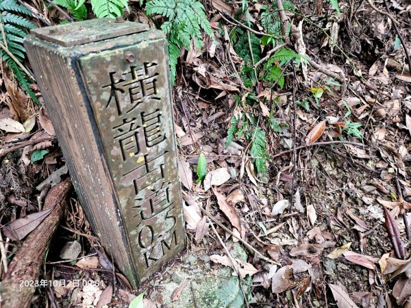 水雲三星之橫龍山連走橫龍山北峰＆騰龍山2302363